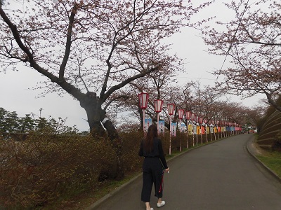 本荘公園　オムチーズフランク！