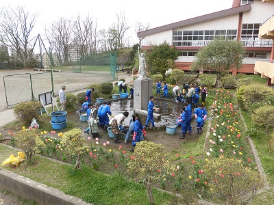 地元の小学生に蓮の花を！～明徳小学校～