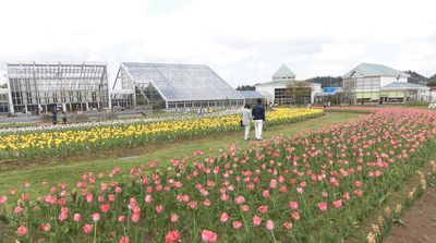 みどりの日スペシャル「ブルーメッセあきた」