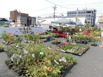 第５９回秋田植木まつり