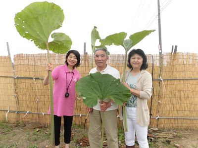 大きくて立派