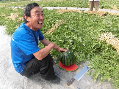 スイカ「あきた夏丸」～横手市雄物川町～