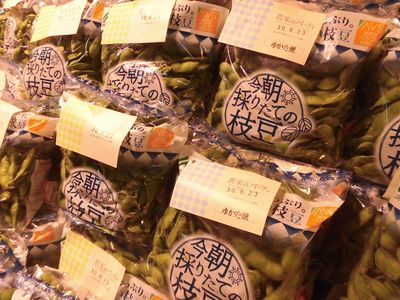 「今朝採りたての枝豆」試食販売会！