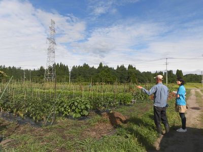 「YESか農か！」西仙北　T-FARM.　田口康平さん