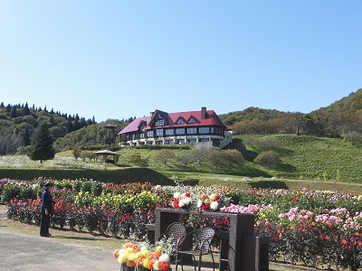 今が見頃！秋田国際ダリア園。