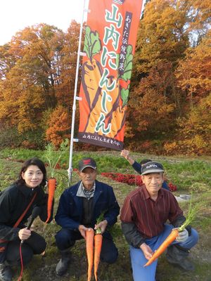 あきた伝統野菜「山内にんじん」