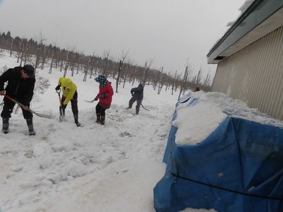 雪をかける