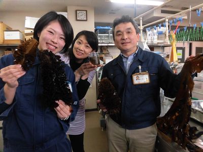 ワカメの種採り～秋田県水産振興センター～