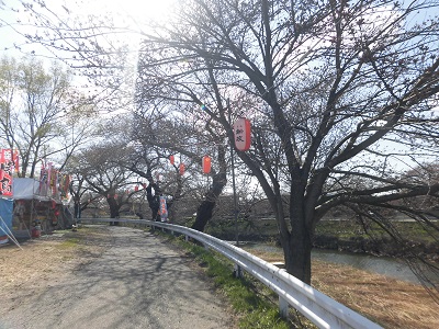 太平川の桜まつり
