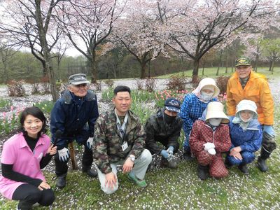 御所野総合公園！桜とハート型のチューリップ！