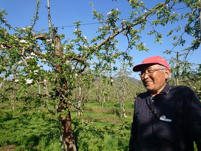 平野さん１ショット