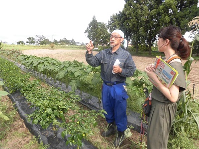 珍しい野菜を作っている農家さん発見！