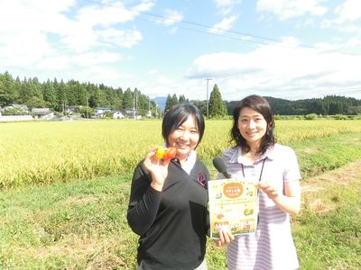 すずとも祭り～若手農家の文化祭～