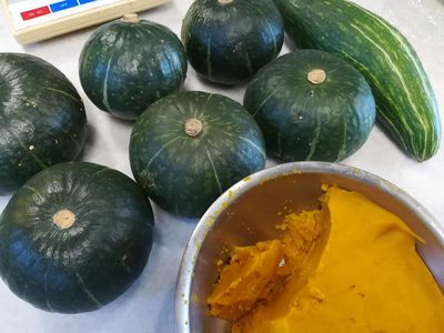 kabocha