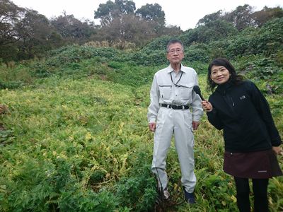 あきたの伝統野菜「焼畑　火野カブ」～にかほ市～