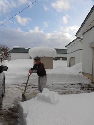 横手市の大雪とともに！りんご農家北島さん