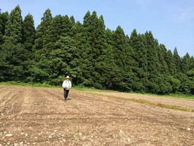 畑の鈴木さん