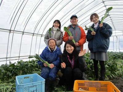 「蓊まつ菜」～寒締めジャンボ小松菜～　大仙市太田町