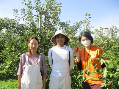 種沢果樹組合「種沢観光りんご園」