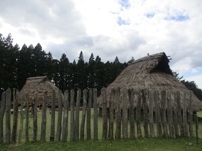 地蔵田遺跡「弥生っこ村」茅葺屋根  葺き替え作業