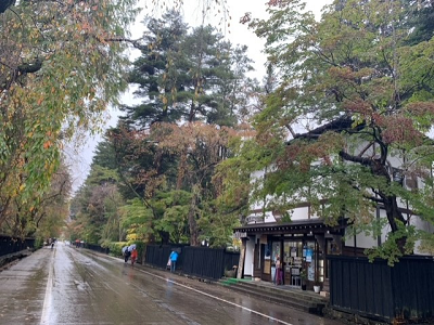 今年の秋は人力車で紅葉を楽しもう！