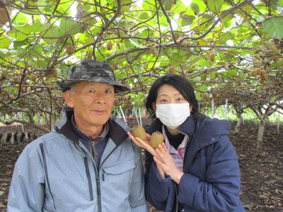 秋田産　キウイフルーツ～三種町　元ちゃん農園～