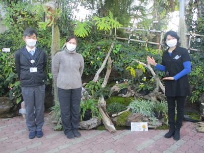 多彩な洋ランに出会えます～秋田県農業科学館～