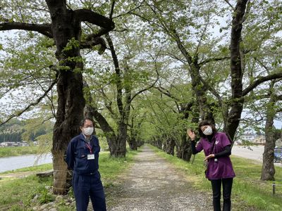 日本を元気に！あなたの街のささえびと～仙北市桜アドバイザー　樹木医　黒坂登さん～