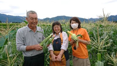 藤田さんちのトウモロコシ～大仙市太田町～