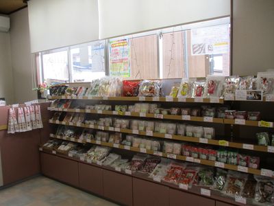 メダカが増えて５００匹～池田珍味店～