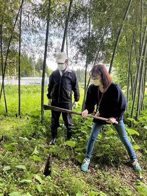 今が旬！孟宗筍を掘る！！