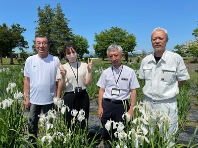 第41回浅舞公園あやめまつり