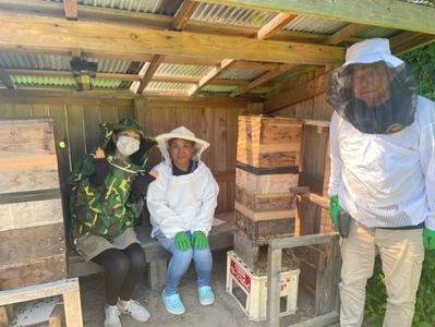 ニホンミツバチの養蜂～由利本荘市松ヶ崎～