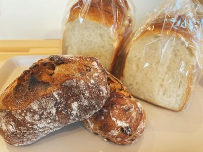 Bread Fictionsの『ハード系パン』