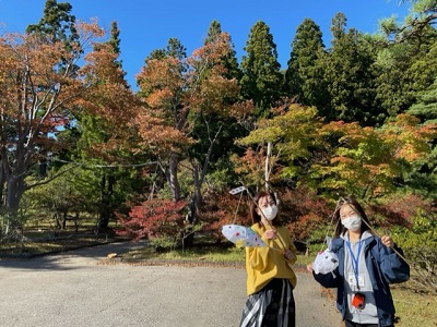 小泉潟公園　水心苑「紅葉ライトアップ」