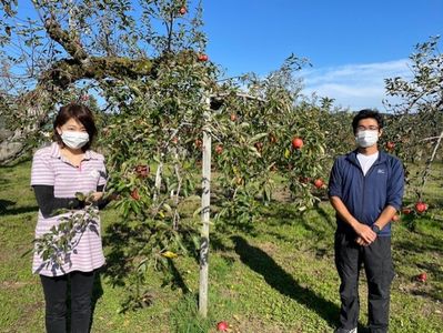 新体制でりんご栽培「たねざわ果樹園」