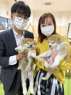 秋田犬の里「犬の散歩でごみ拾い」