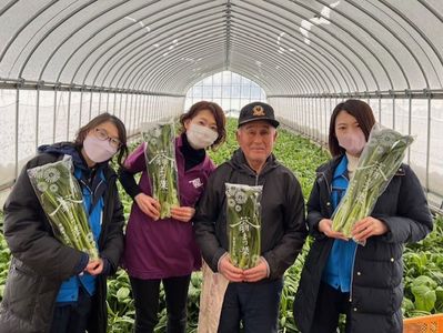 「蓊まつ菜（おうまつな）」～大仙市～