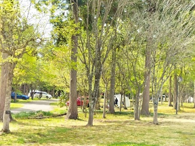 北欧の杜キャンプ場