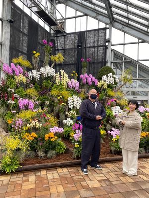 真冬の花の女王を楽しめる！「世界の蘭フェア＆花の祭典」