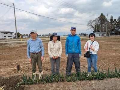 甘くてジューシー！「亀之助ねぎ」