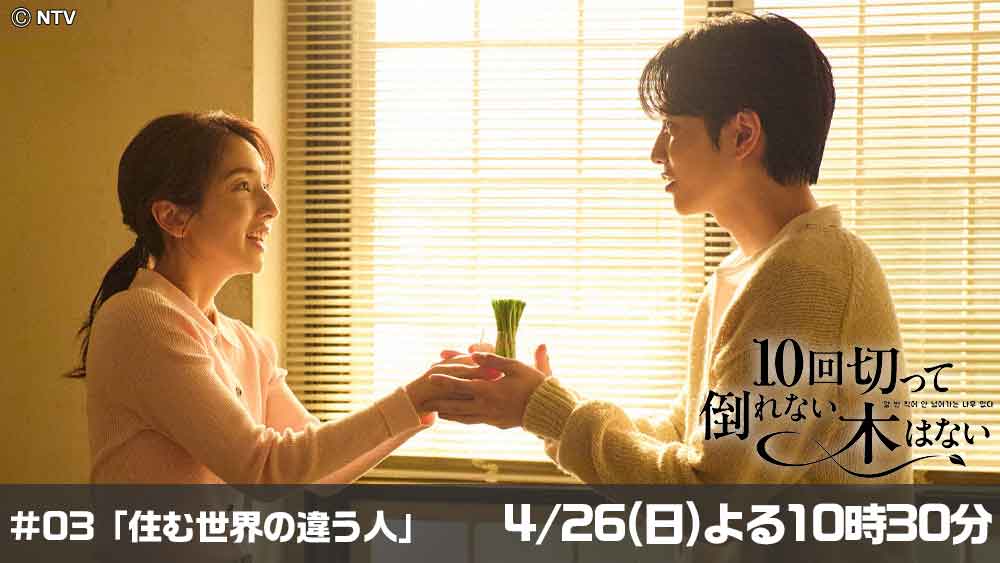 10回切って倒れない木はない