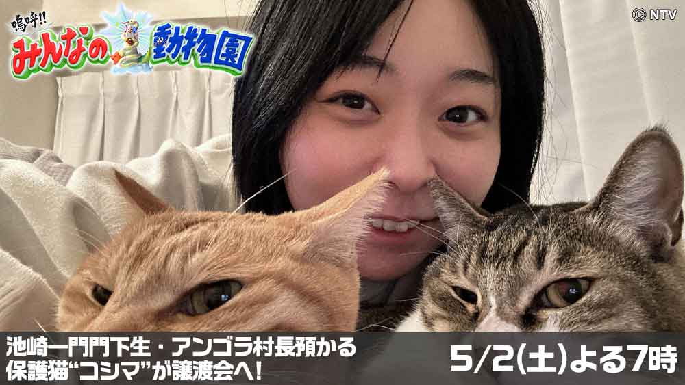 嗚呼！！みんなの動物園