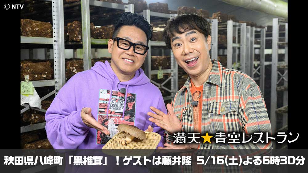 満天☆青空レストラン