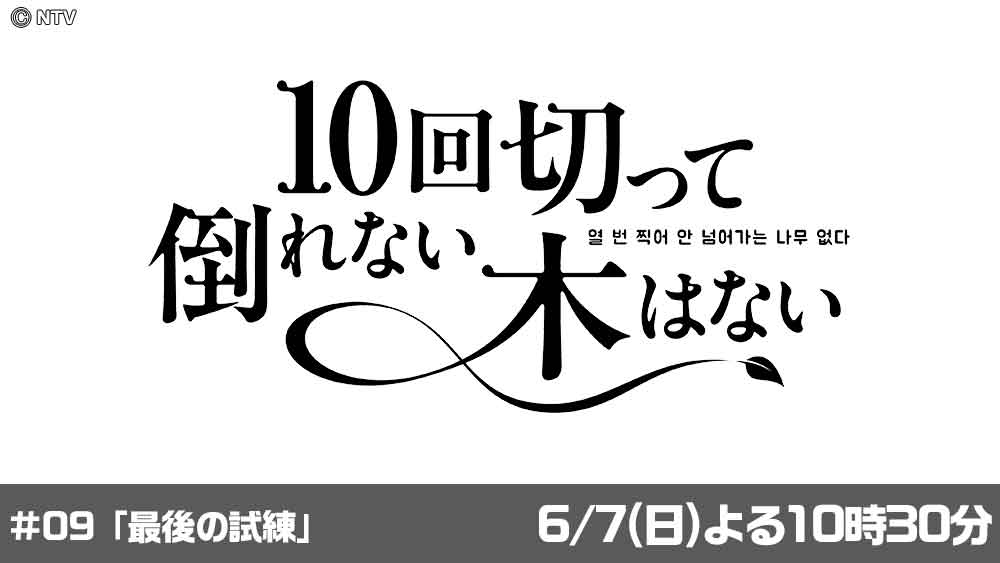 10回切って倒れない木はない
