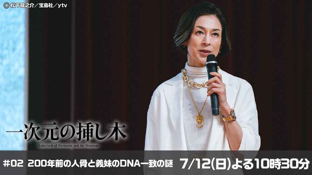 一次元の挿し木