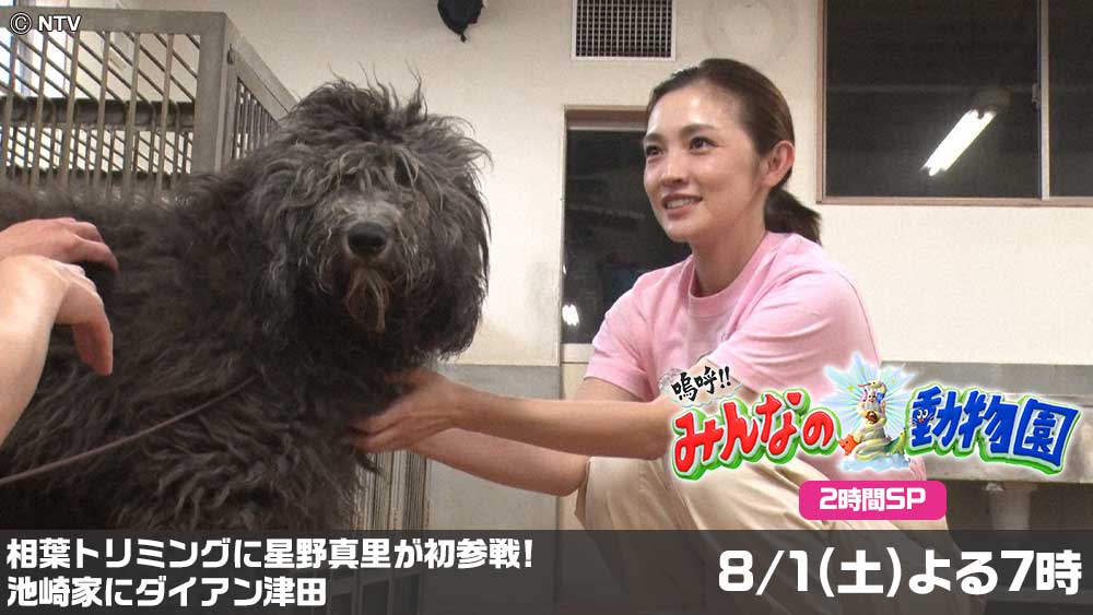 嗚呼！！みんなの動物園