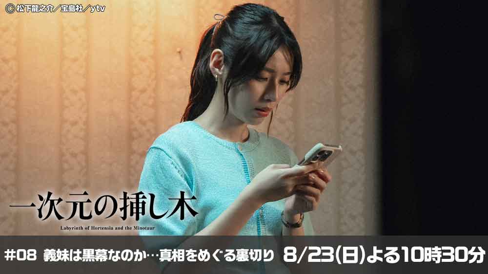 一次元の挿し木