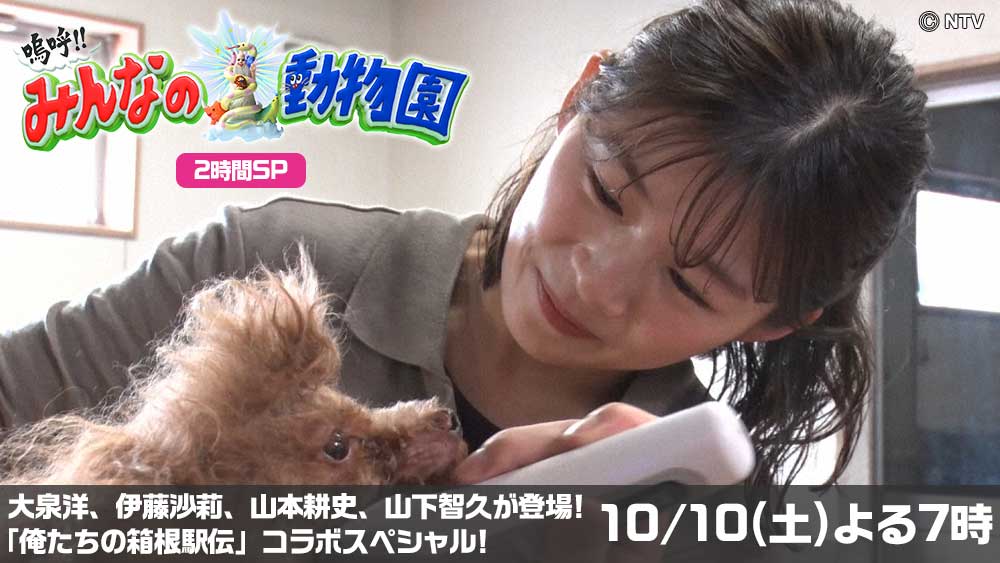 嗚呼！！みんなの動物園