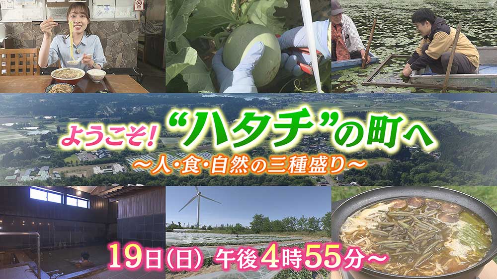 ようこそ”ハタチ”の町へ